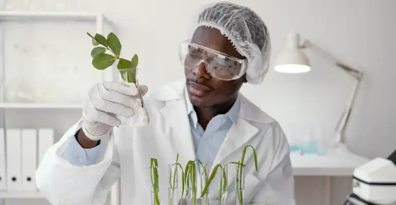 BASc Chemical Engineering, Environmental Engineering