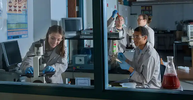 Biomedical Engineering