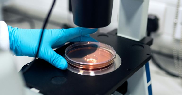 Medical Engineering
