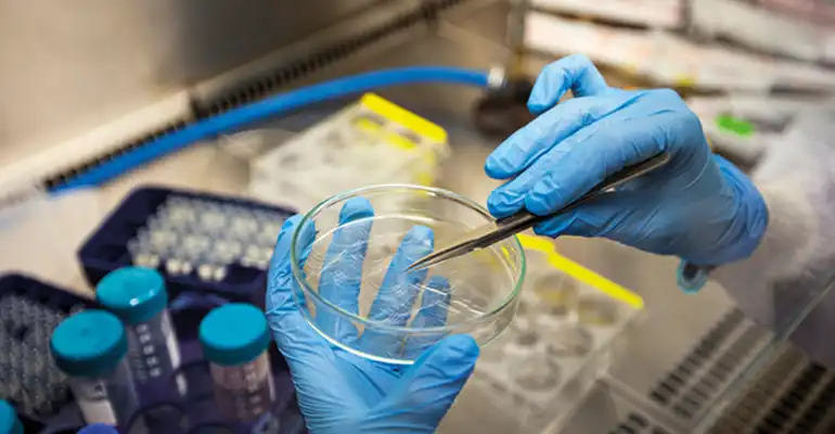 Life Sciences