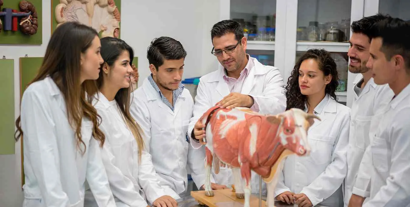 Bachelor of Science Animal Bioscience