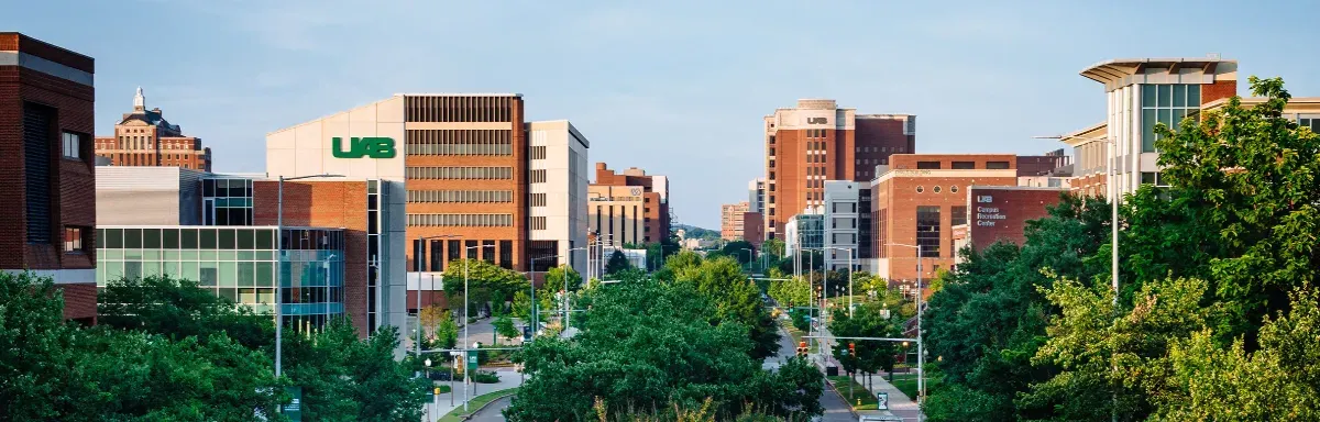 INTO The University of Alabama at Birmingham