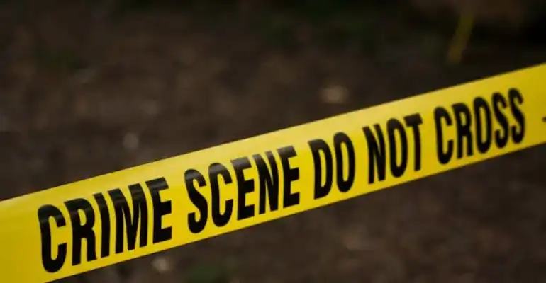 Bachelor of Arts: Criminal Justice