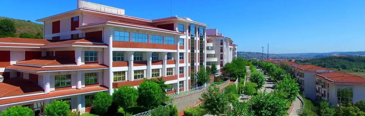 Isik University