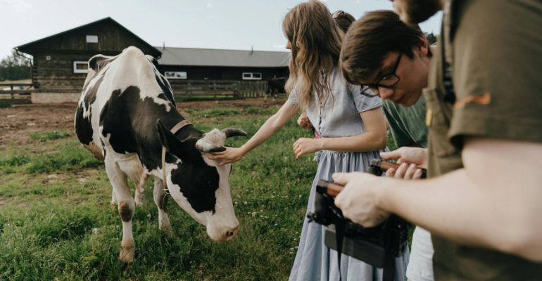 BSc (Hons) Zoology With Year Abroad