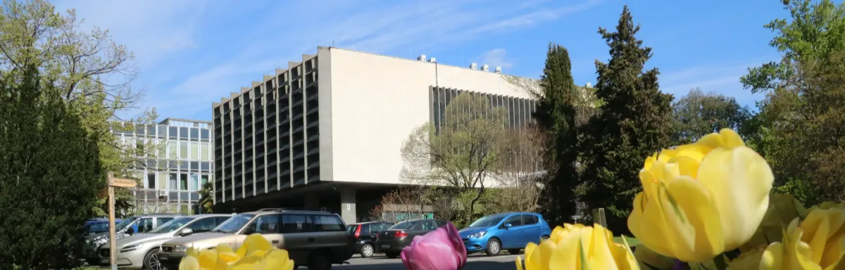 Buda Campus