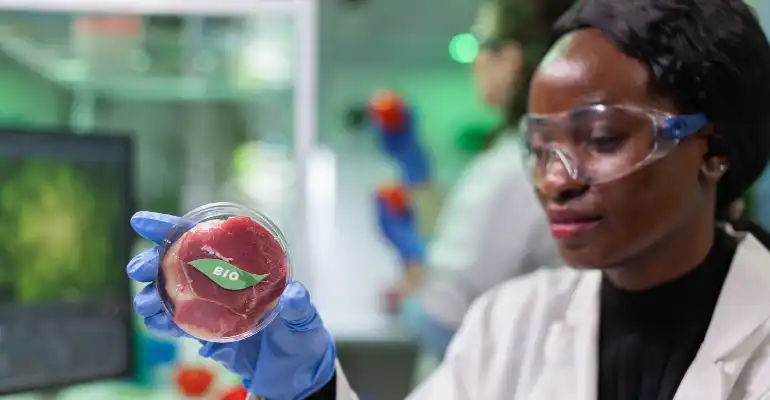Science in Bioengineering, BSc