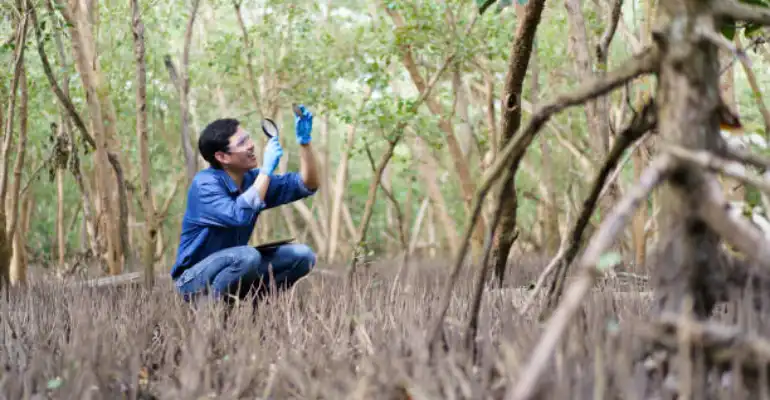 Environmental Science & Studies