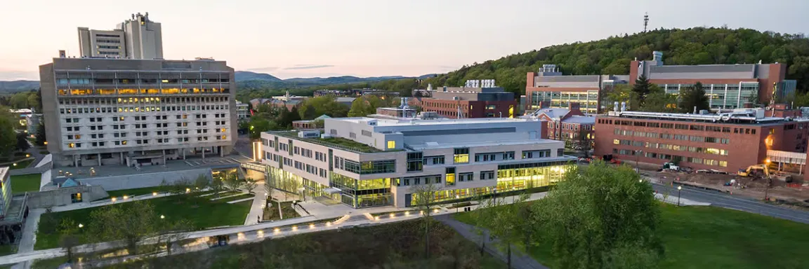 University of Massachusetts Amherst