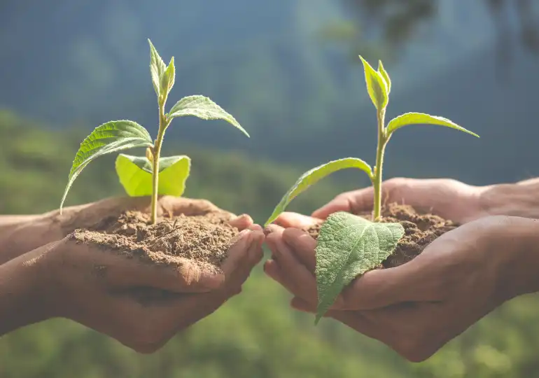 Environmental Sustainability and Global Health