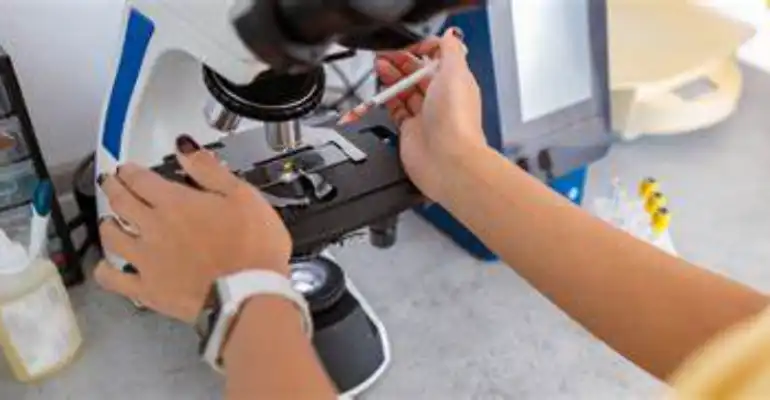 Clinical Sciences BSc
