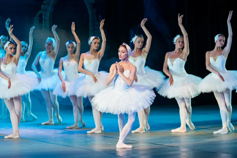 Dance BFA (Choreography )