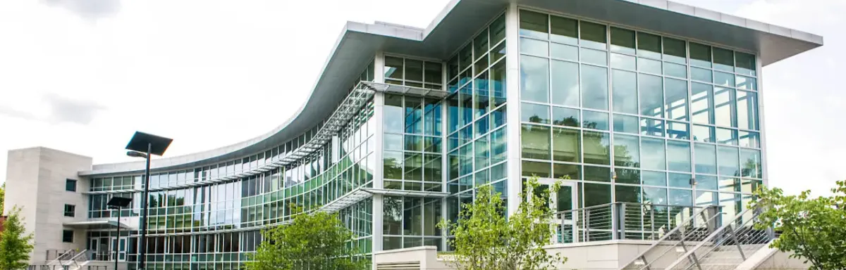 Lewis University