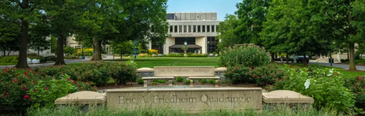 American University