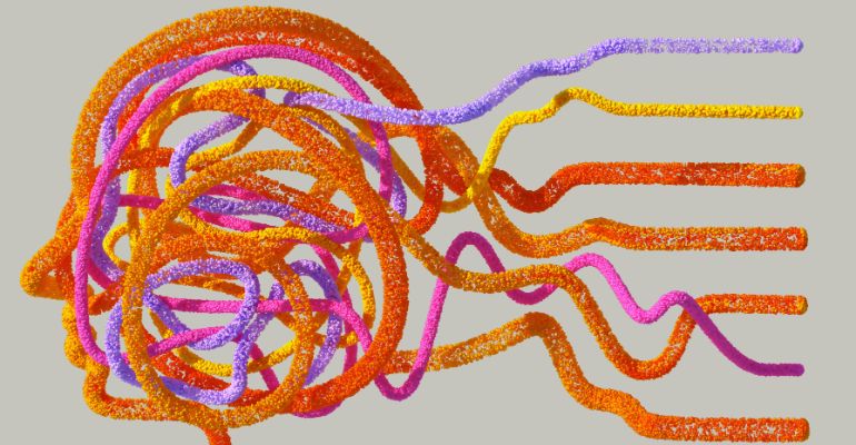 Molecular Biology and Genetics (BSc)