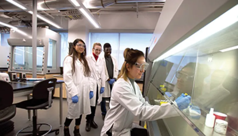 Life Sciences