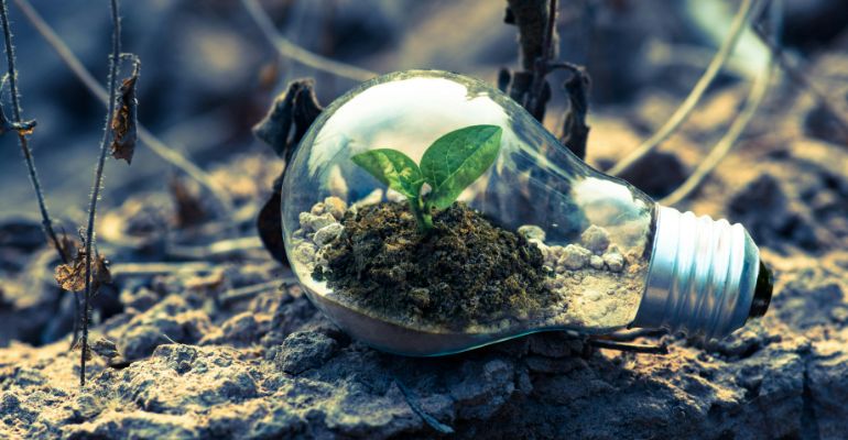 Environmental Science