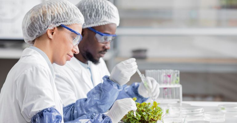 Bachelor of Food Science and Human Nutrition