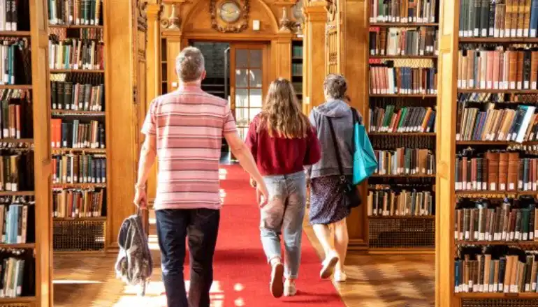 Human Development and Family Studies (B.S.)