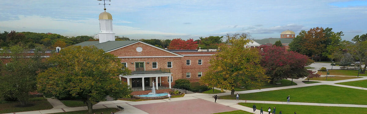 Long Island University