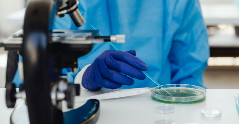 International Foundation in Biosciences