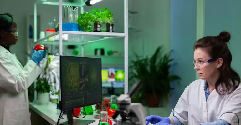 Biochemistry and Biomedical Sciences – Health Science Stream