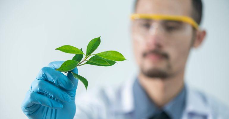 International Foundation in Physical and Natural Sciences