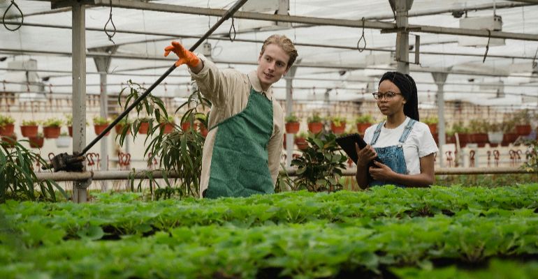Sustainable Development, Agri-Food and Co-operatives (MSc)