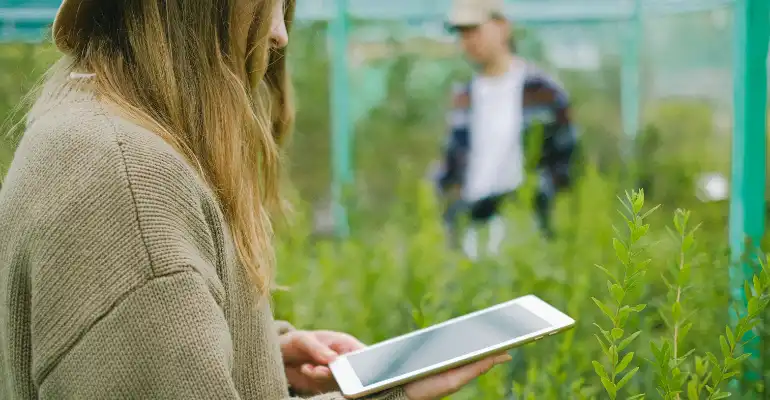 PhD in Forestry and Wildlife Management