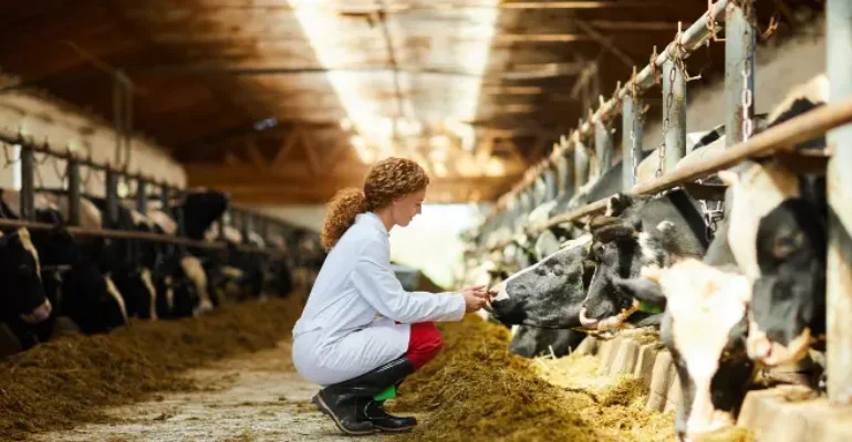Bachelor of Science (Honours) Veterinary Bioscience
