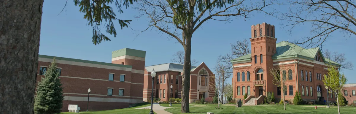 Trine University