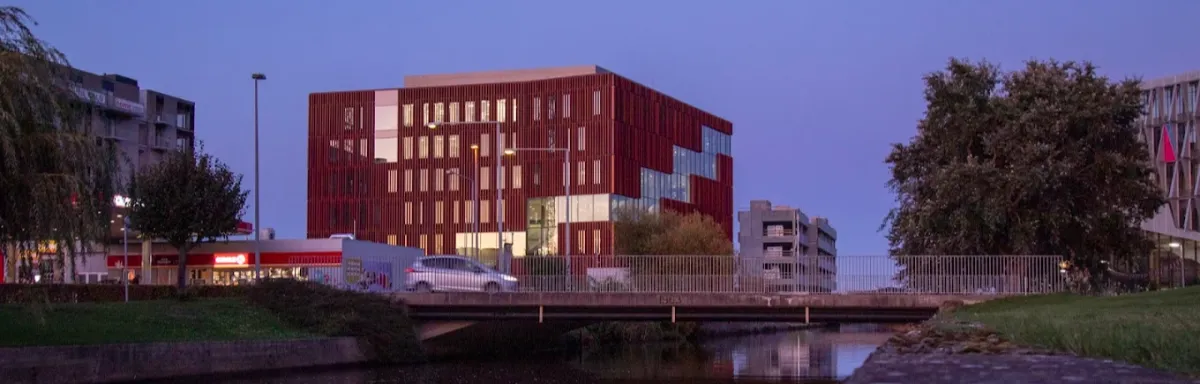 International Business Academy