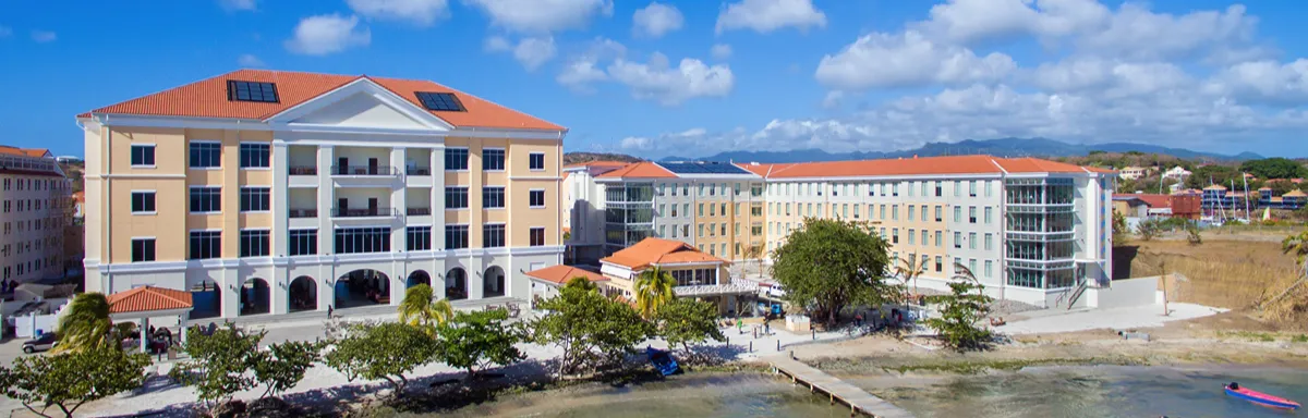 St. George's University