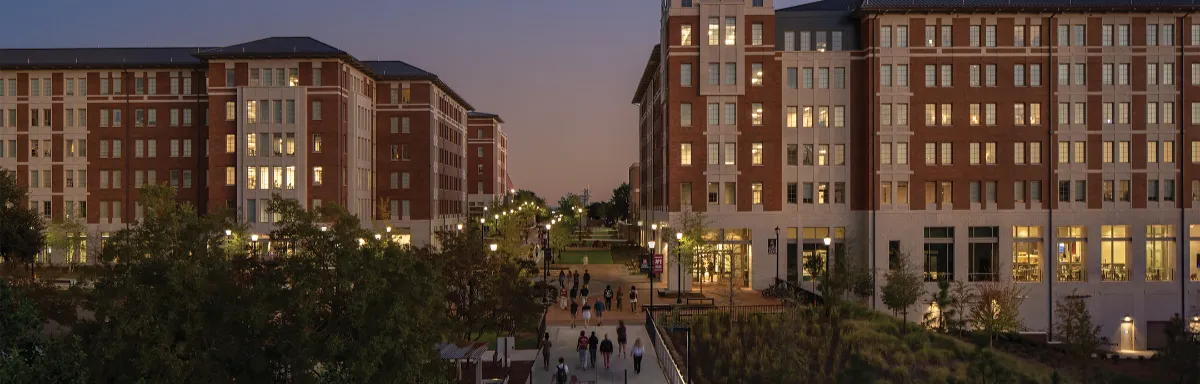 University of South Carolina