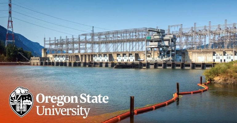 Energy Systems Engineering (B.S.)