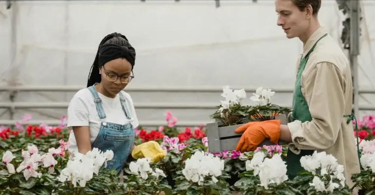 Horticultural Production(PhD)