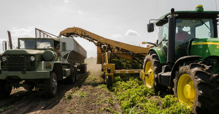 Crop and Soil Sciences — Science Option