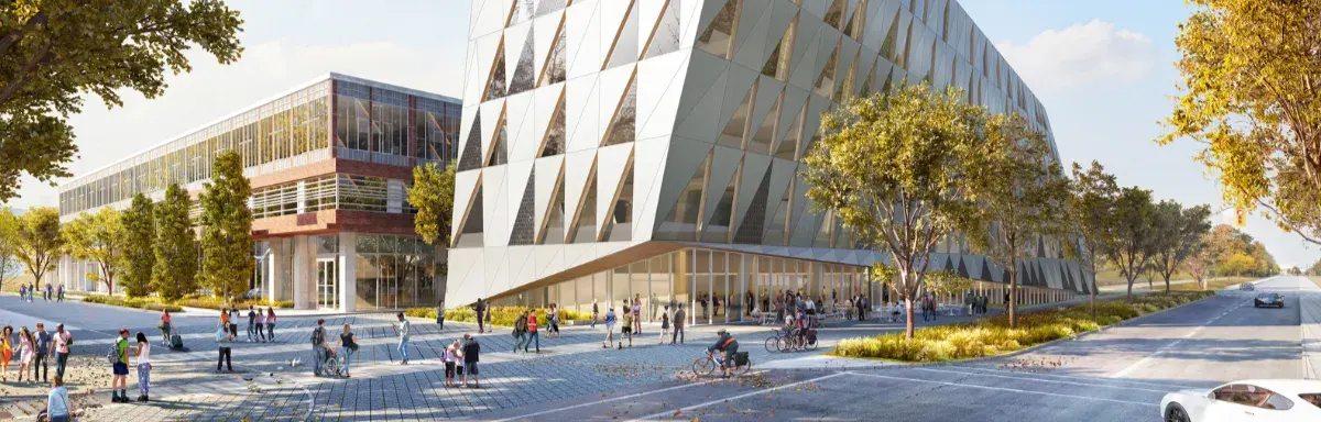 York University