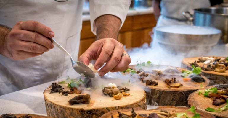 Gastronomy and Culinary Arts