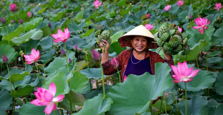 Horticultural Production and Marketing (MSc)