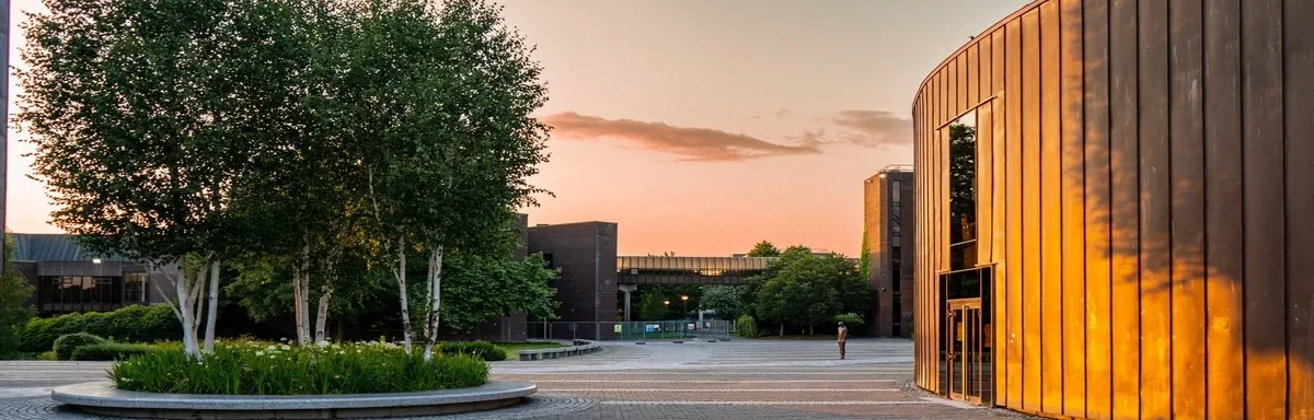University of Limerick