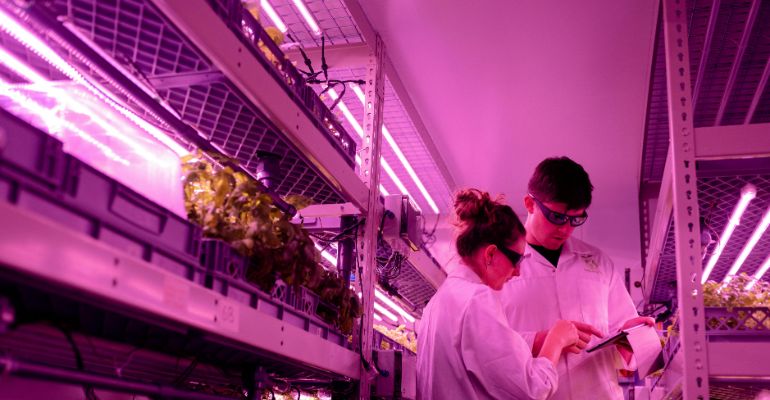 Graduate Certificate in Environmental Science