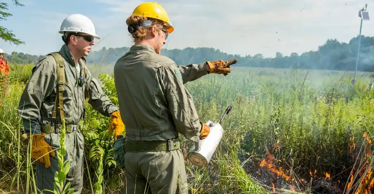 BSc in Wildlife Management