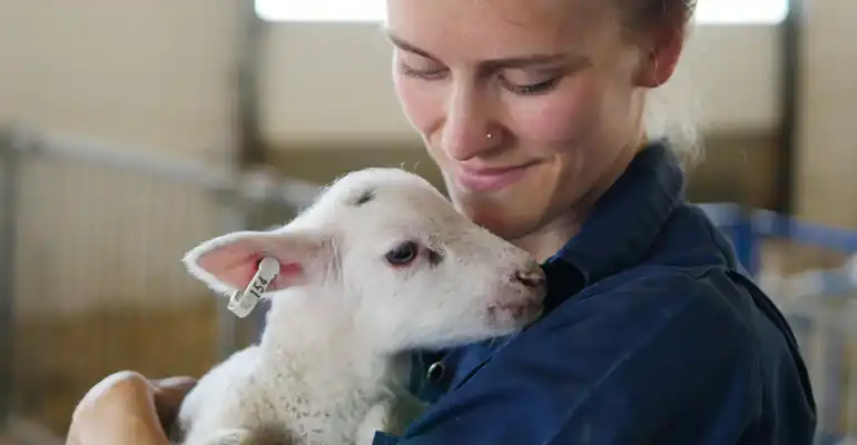 Doctor Veterinary Medicine