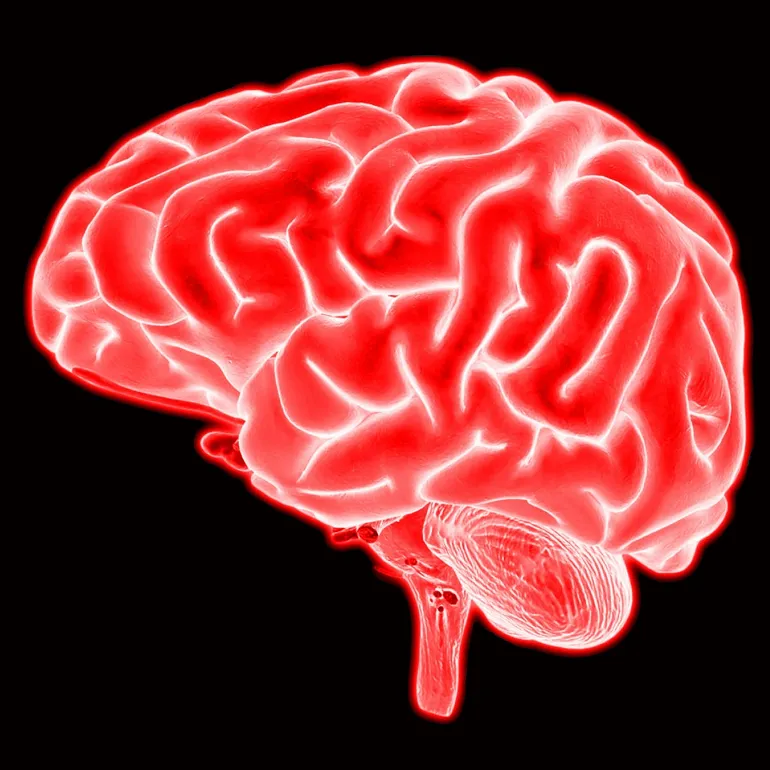 Neuroscience (BS)