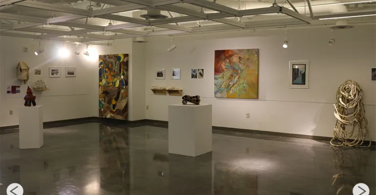 B.F.A. in Art