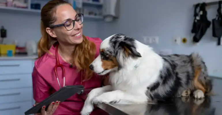 Veterinary Technician