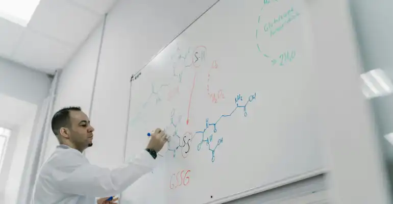 Systems and Industrial Engineering BS