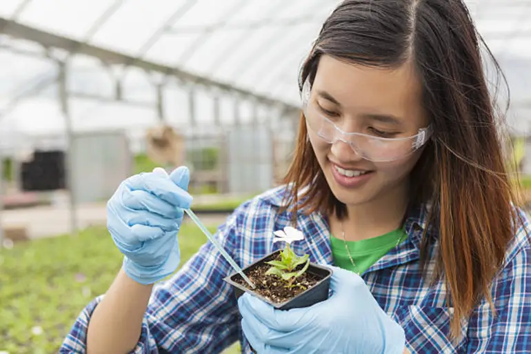 PhD Geography and Earth Sciences (Science)